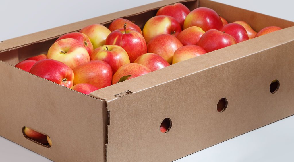 Урожая хватит надолго. Как правильно хранить яблоки
