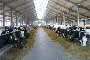 Металлоконструкции для овощехранилищ, молочных ферм, птицекомплексов 