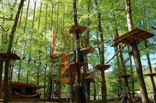 Детский спортивный комплекс Веревочные парки на деревьях 